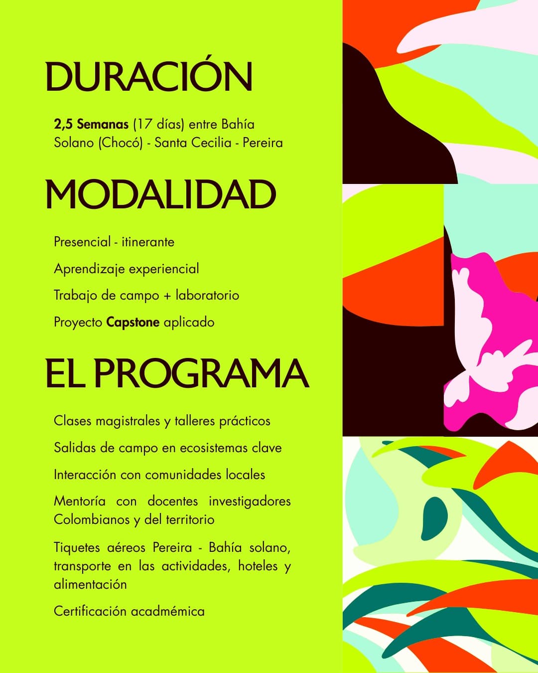 Duración y modalidad