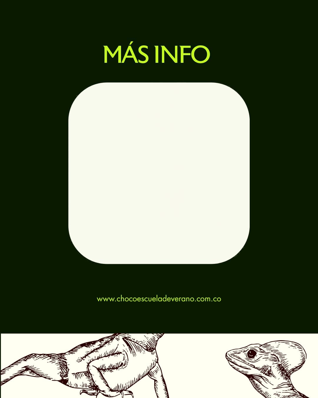 Conecta con nosotros